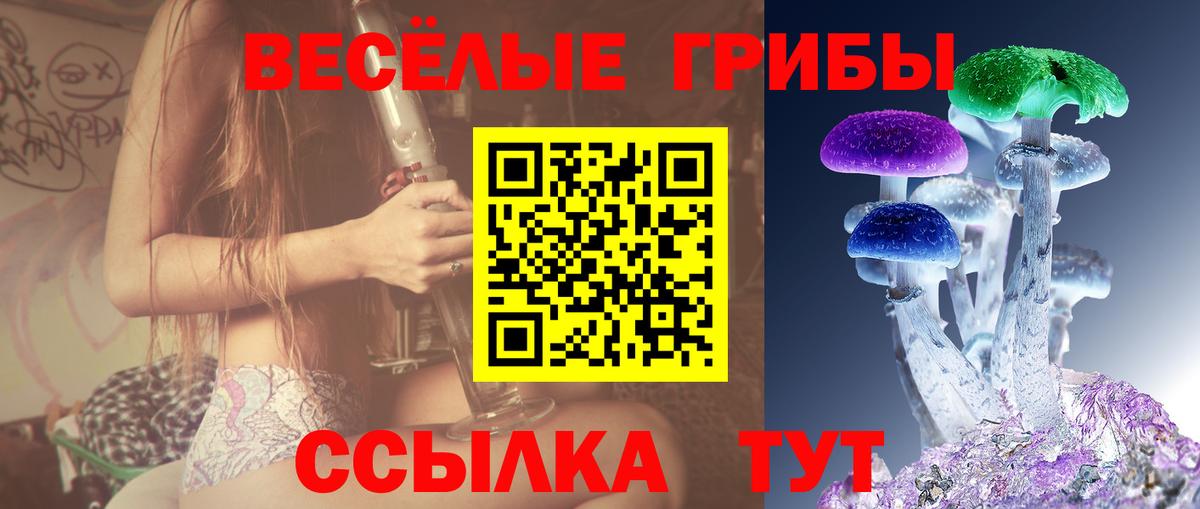 Псилоцибиновые грибы прущие грибы  Вход с VPN  Галлюциногенные грибы ЛСД  Алексеевка 